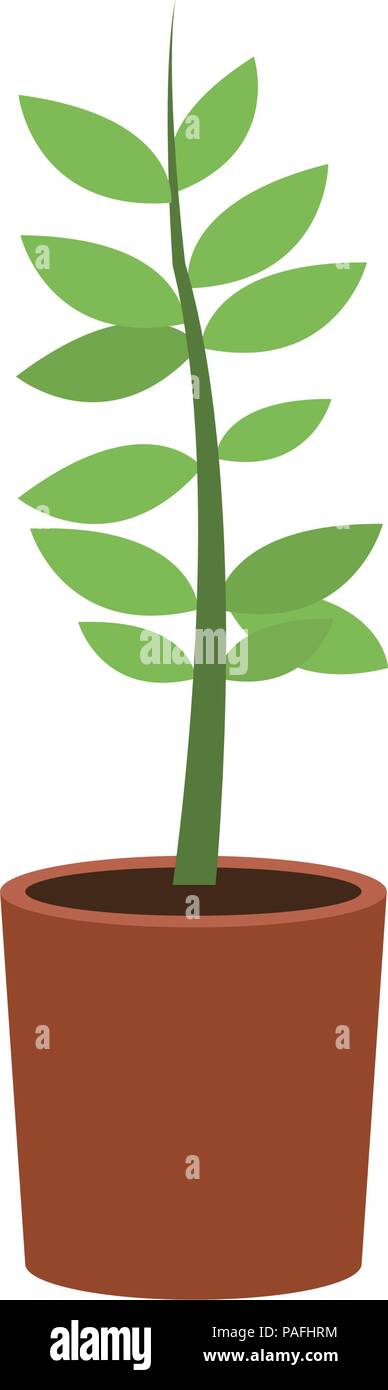 Plant in pot Stock Vector Image & Art - Alamy