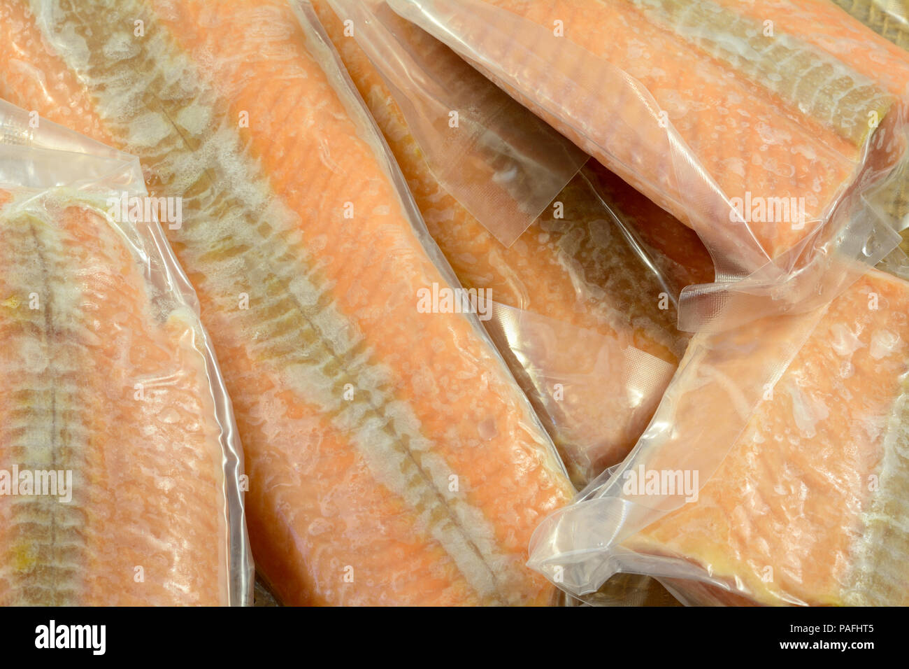 Frozen salmon fish fillets in airtight vacuum packed plastic packaging