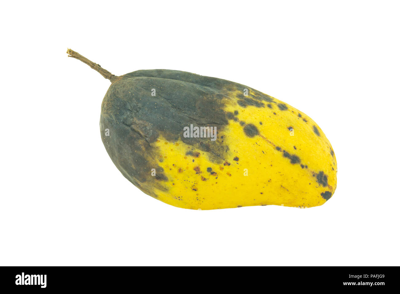 Rotten mango Cut Out Stock Images & Pictures - Alamy