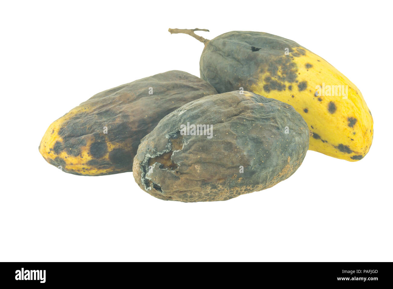 Rotten mango. Overripe Fruit on a white background.Isolated Stock Photo by  prosto_juli