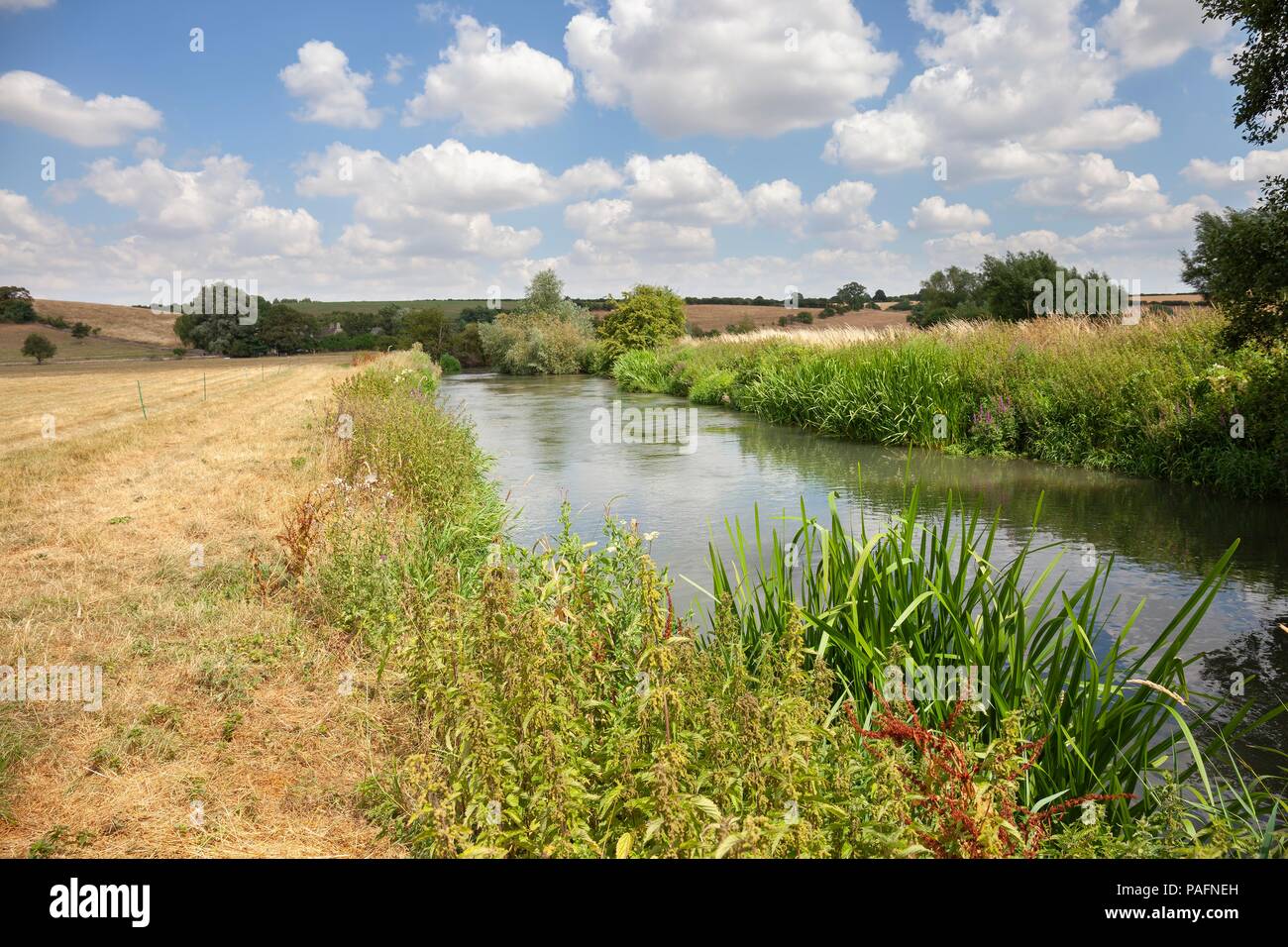 River Windrush at at Asthall, Oxfordshire, England Stock Photo