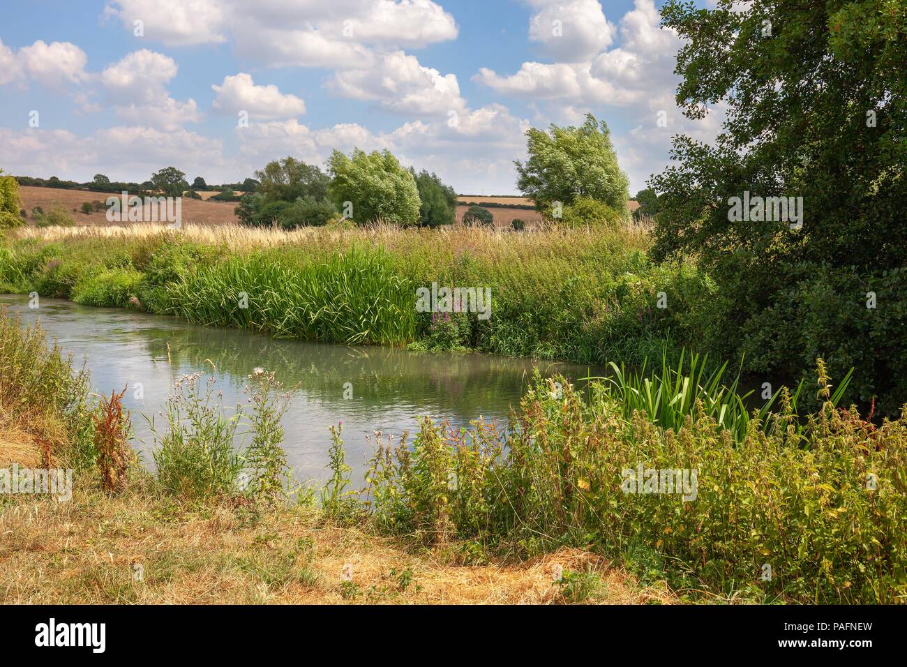 River Windrush at at Asthall, Oxfordshire, England Stock Photo