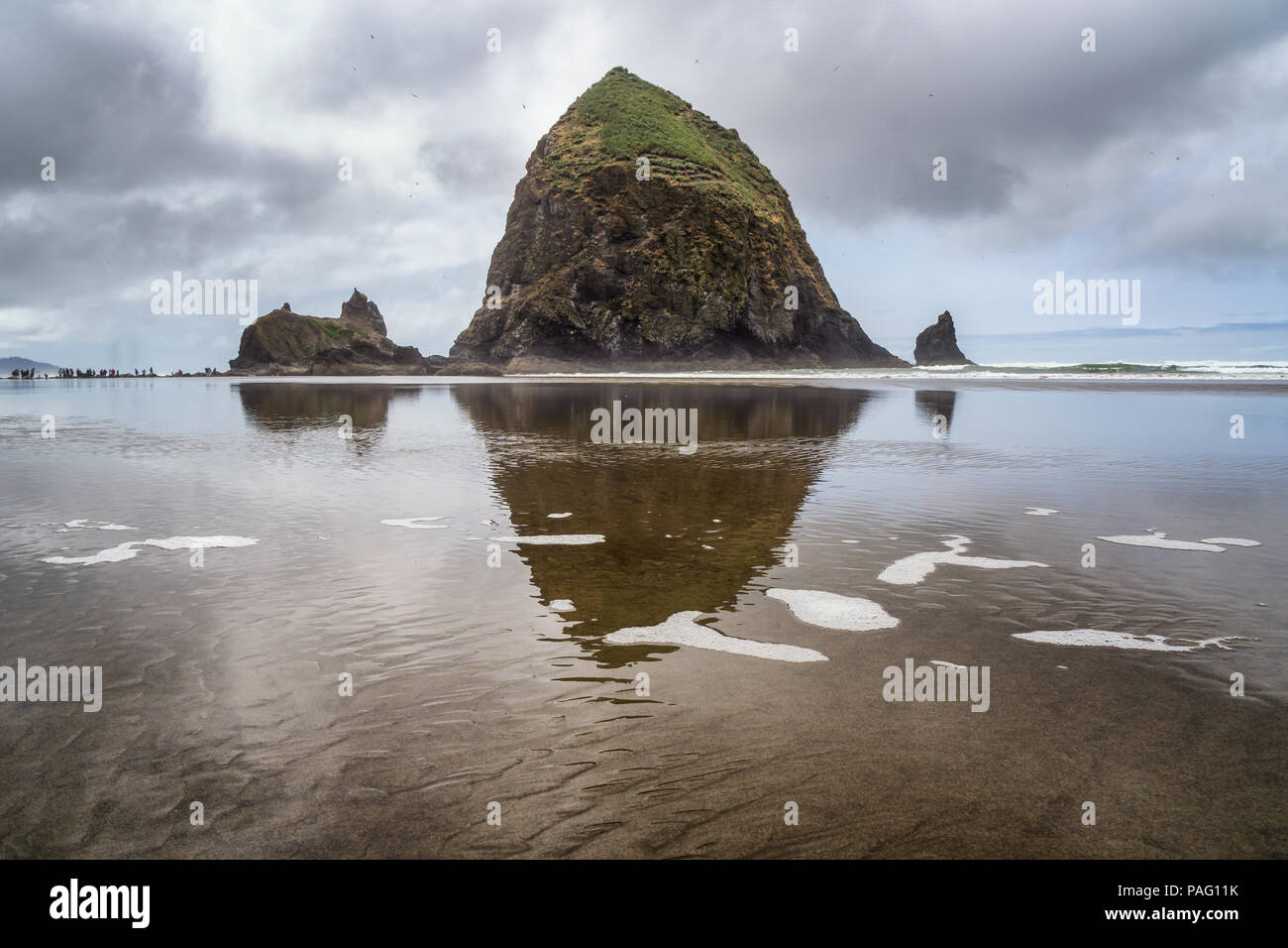 The Haystack Rock at low tide with reflection, iconic sea stack of the Oregon Coast, Cannon Beach, USA. Stock Photo