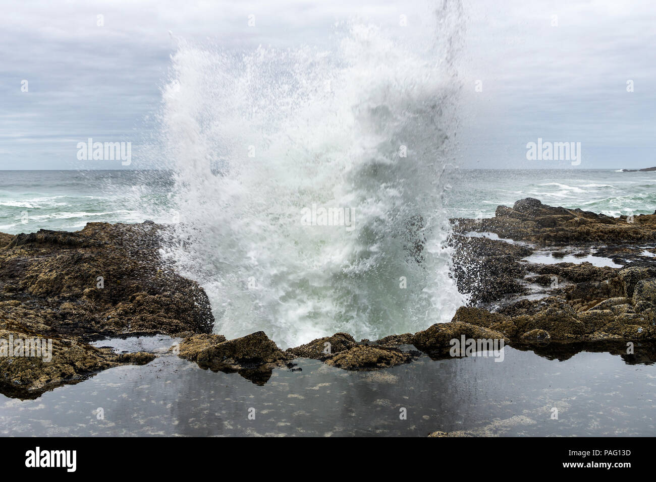 A wave crashing out of Thor's Well in Cape Perpetua rocky headland, famous landmark of the wild Oregon Coast, USA. Stock Photo