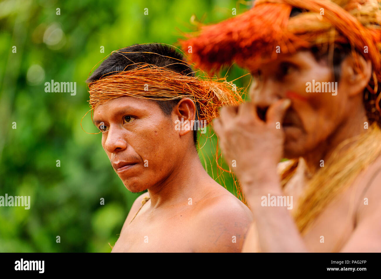 AMAZONIA, PERU NOV 10, 2010 Unidentified Amazonian local musicians