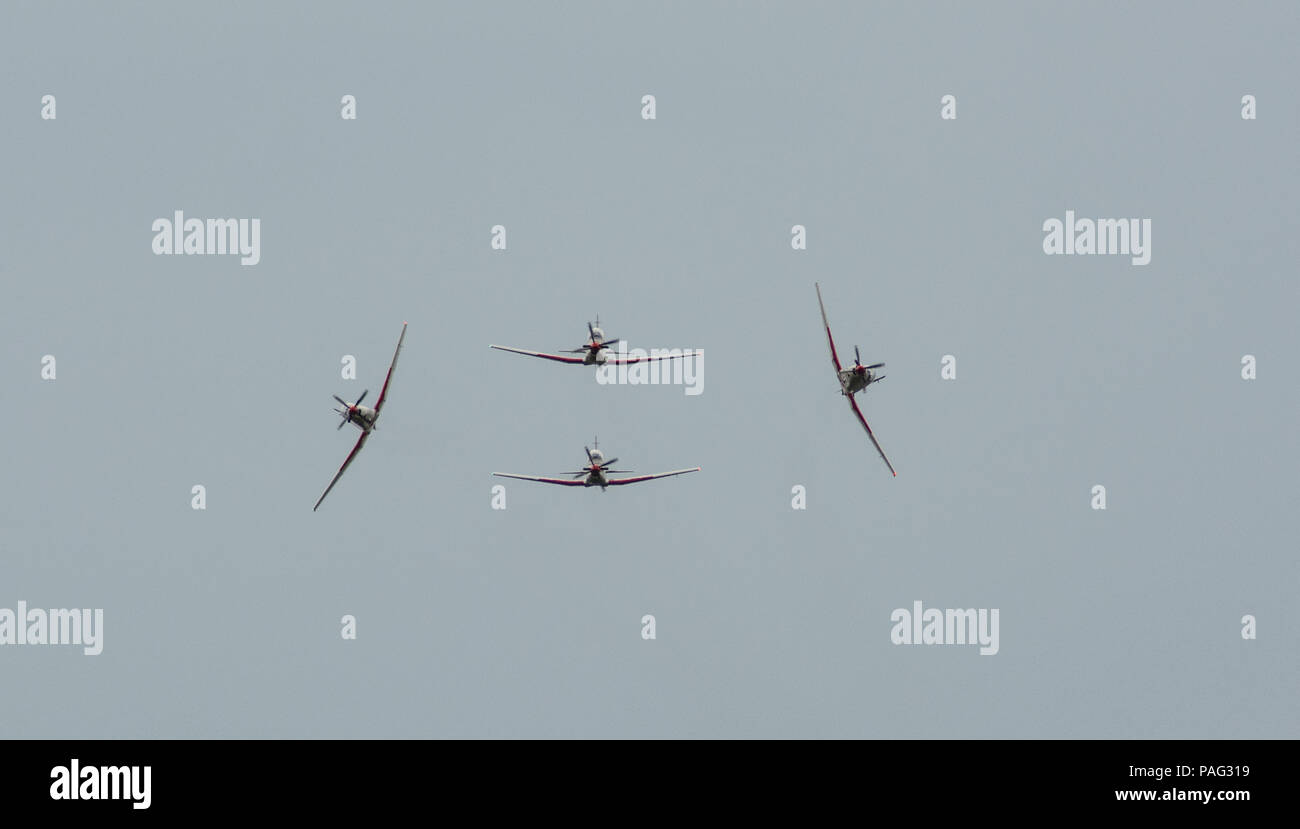 Wings of Storm / Krila Oluje Stock Photo