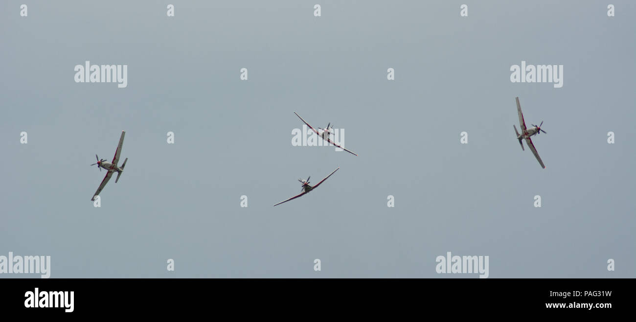 Wings of Storm / Krila Oluje Stock Photo