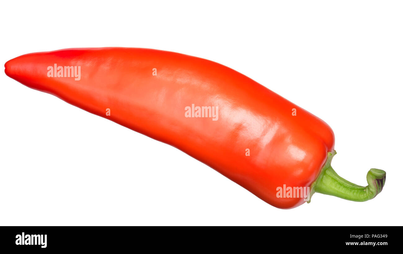 Hungarian Gabi Paprika pepper (Hot wax type), ripe whole pod. Top view