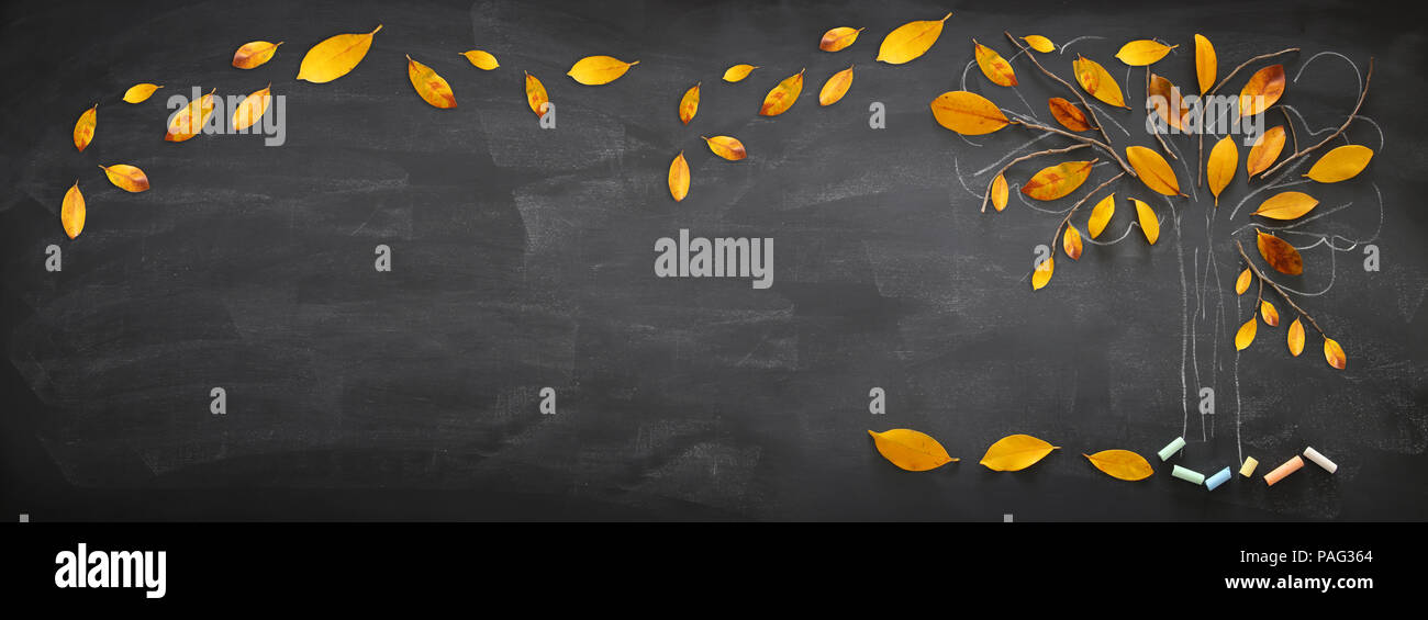 Back to school concept. Top view banner of tree sketch with autumn dry ...