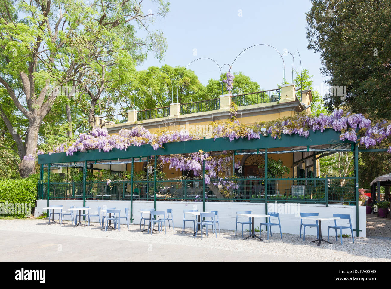 The popular Paradiso Restaurant, Giardini Pubblici, or Public Gardens,  Castello, Venice, Veneto, Italy in spring covered in purple wisteria Stock  Photo - Alamy