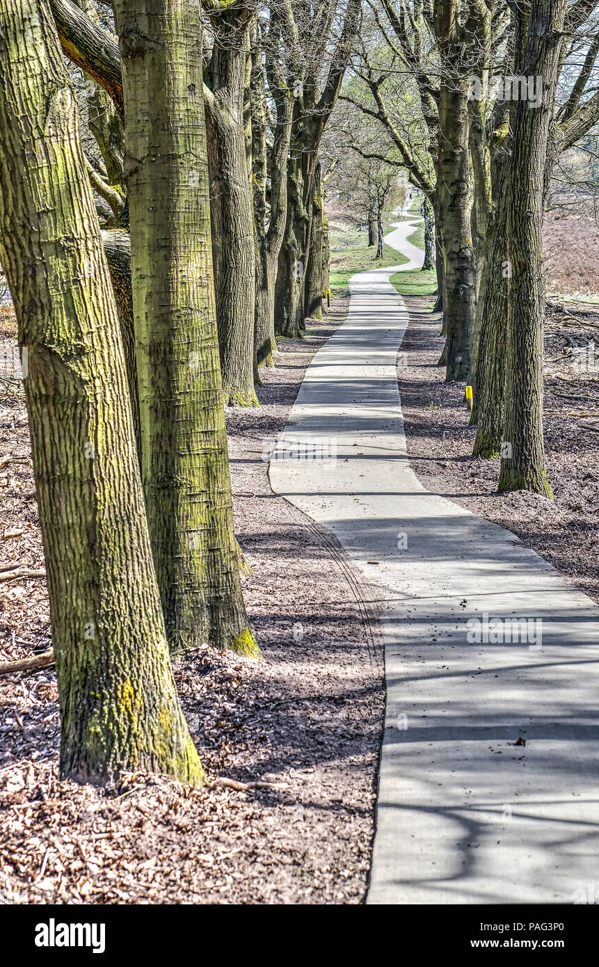 Heerde hi-res stock photography and images - Alamy