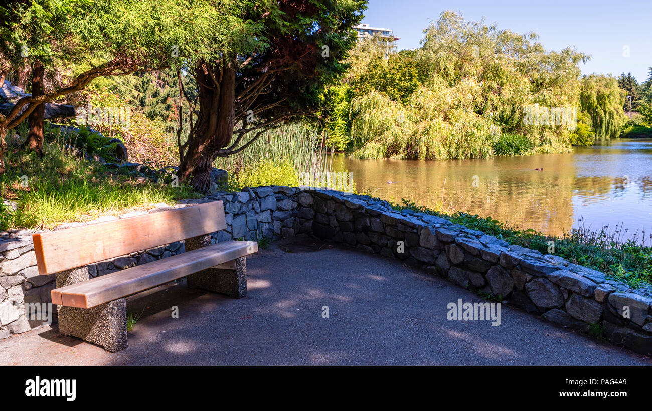 A wooden bench in a summer park near a pond with floating ducks, green trees, a multi-story building and a blue sky in the background Stock Photo