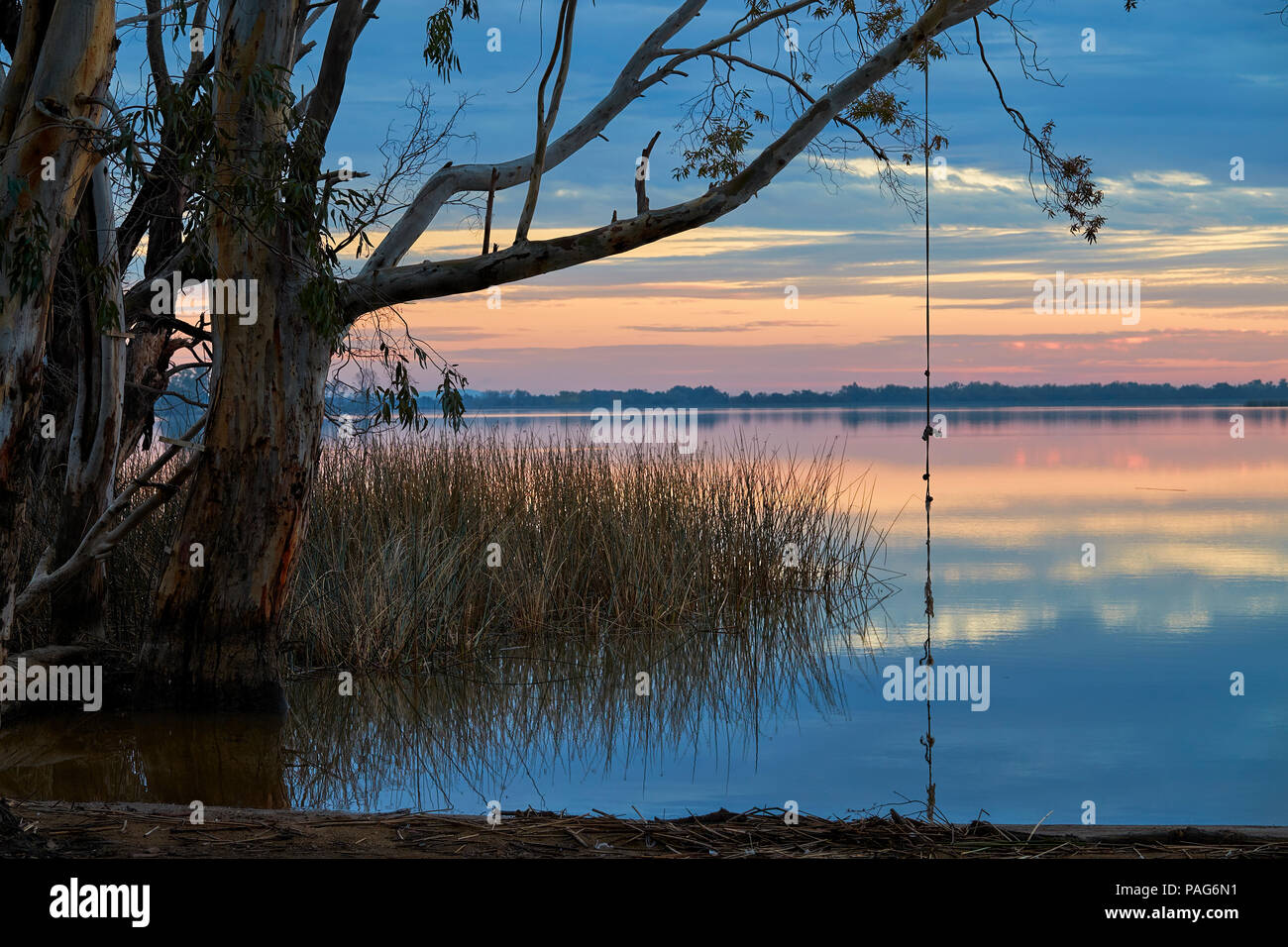 rope swing on a tree by the water reminiscent of youthful days of summer  fun Stock Photo - Alamy