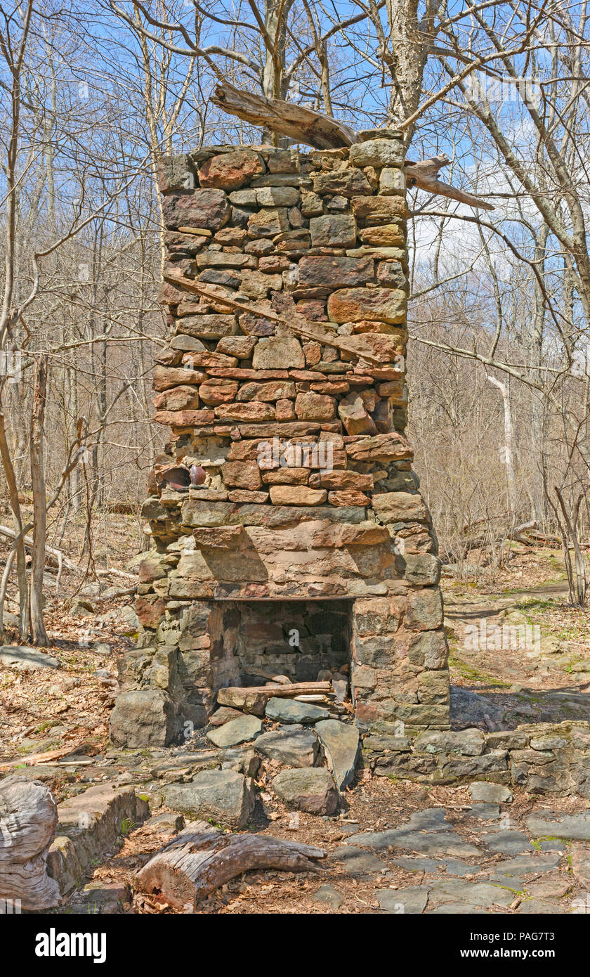 Chimney from a Ruined Cabin in the Wilderness in Shenandoah National