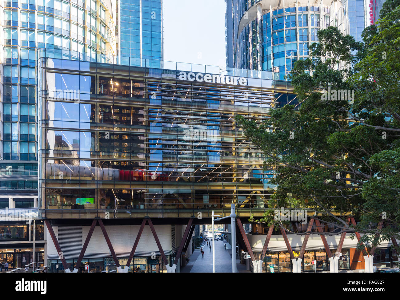 International House at Barangaroo, the Sydney home of Accenture. A  remarkable modern office building constructed from timber Stock Photo -  Alamy