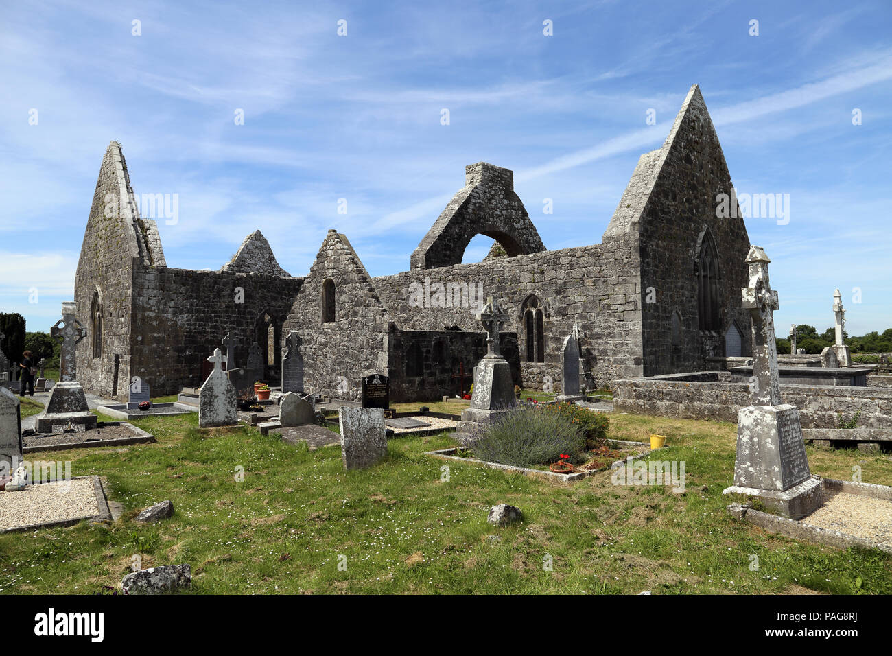 Killmacduagh Monastery is a ruined 7th century abbey near the town of Gort in County Galway, Ireland. It was the birthplace of the Diocese of Kilmacdu Stock Photo