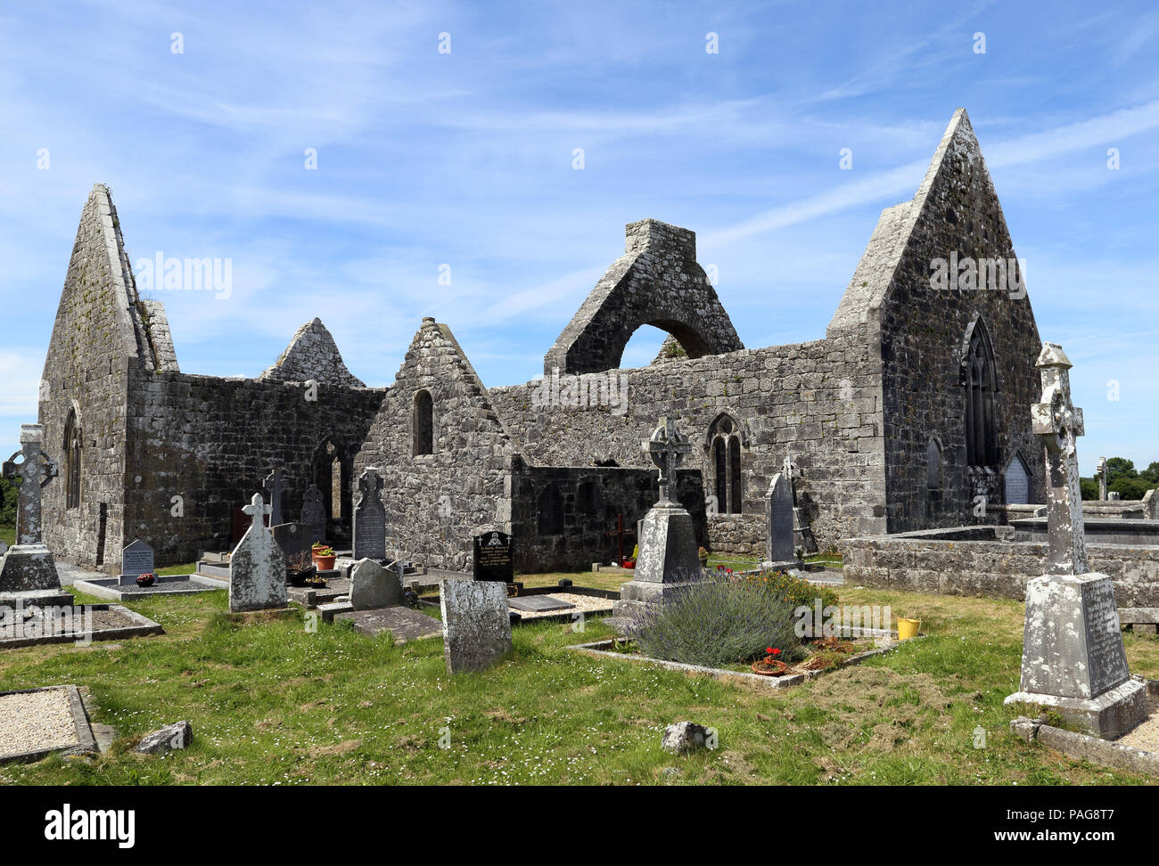 Killmacduagh Monastery is a ruined 7th century abbey near the town of Gort in County Galway, Ireland. It was the birthplace of the Diocese of Kilmacdu Stock Photo