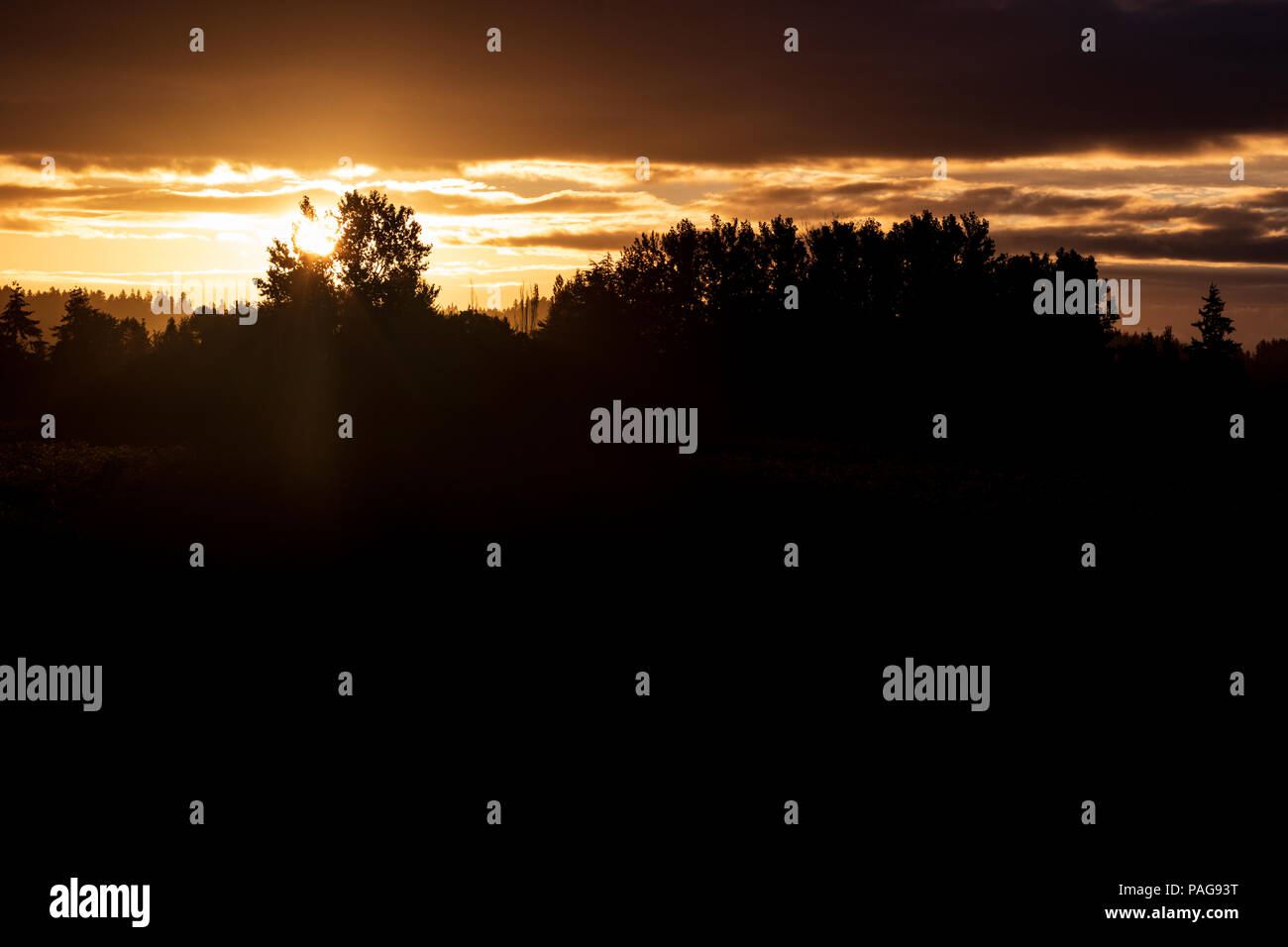 Red sunrise sunset over a tree line horizon with heavy orange clouds ...