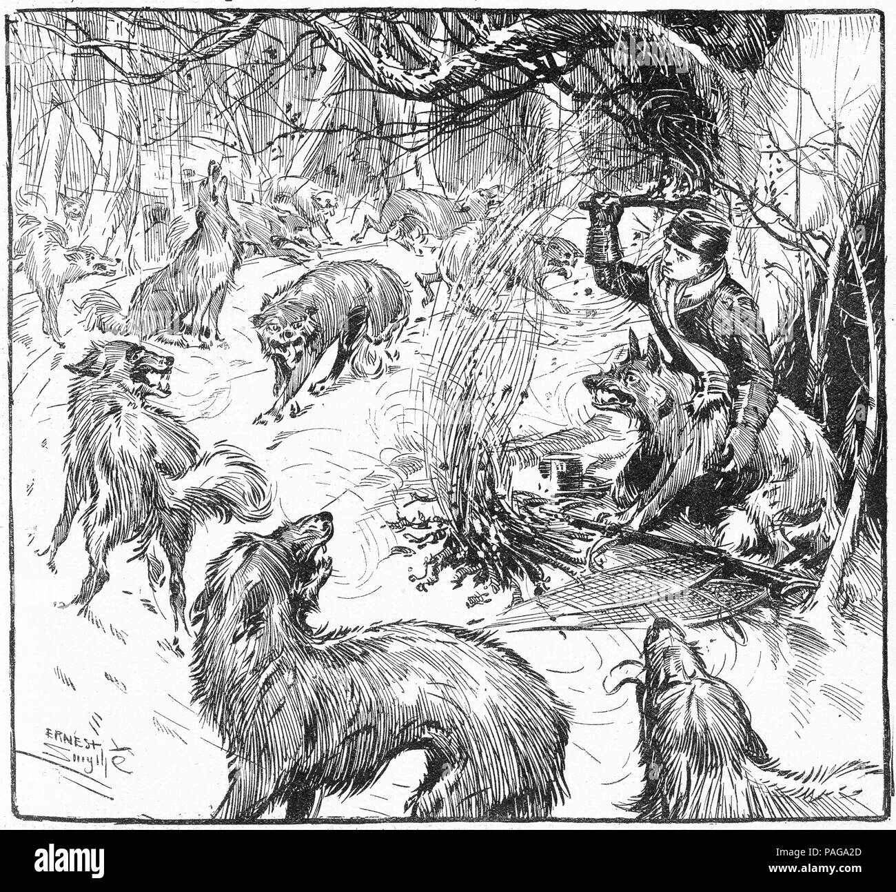 Engraving of an adventurer using a fire to keep a pack of wolves at bay in the far north. From Chums, An Illustrated Magazine for Boys, 1916. Stock Photo