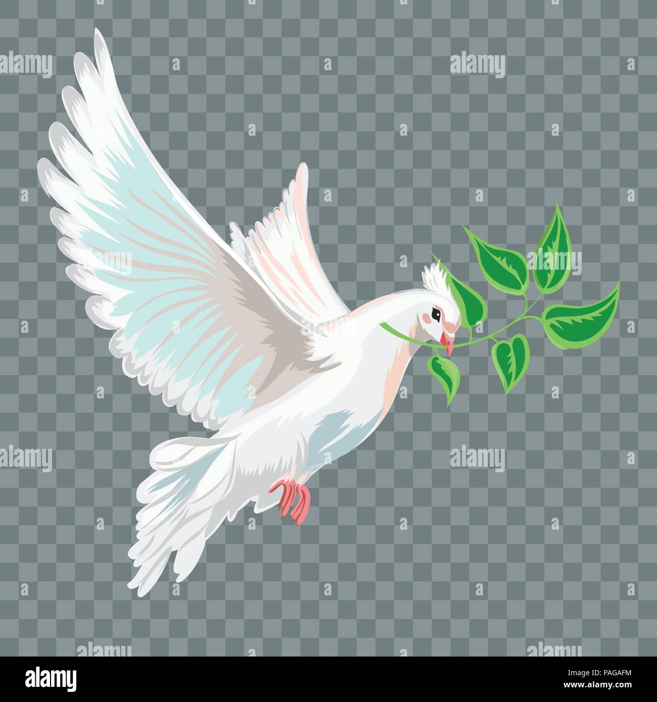 White flying dove with branch. Stock Vector