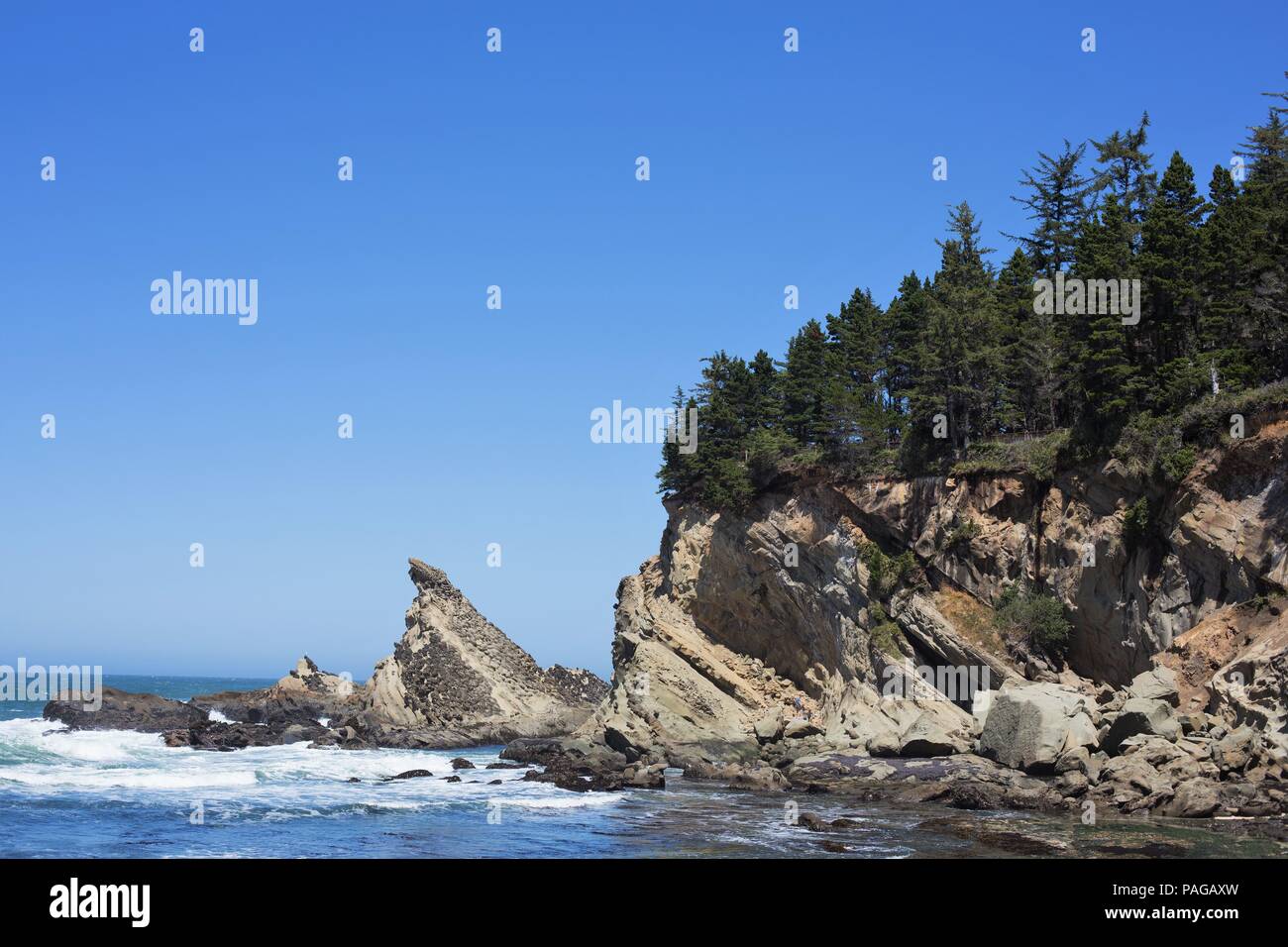 Slanted, dramatic rock formations on the coast at Shore Acres State Park near Coos Bay, Oregon, USA. Stock Photo