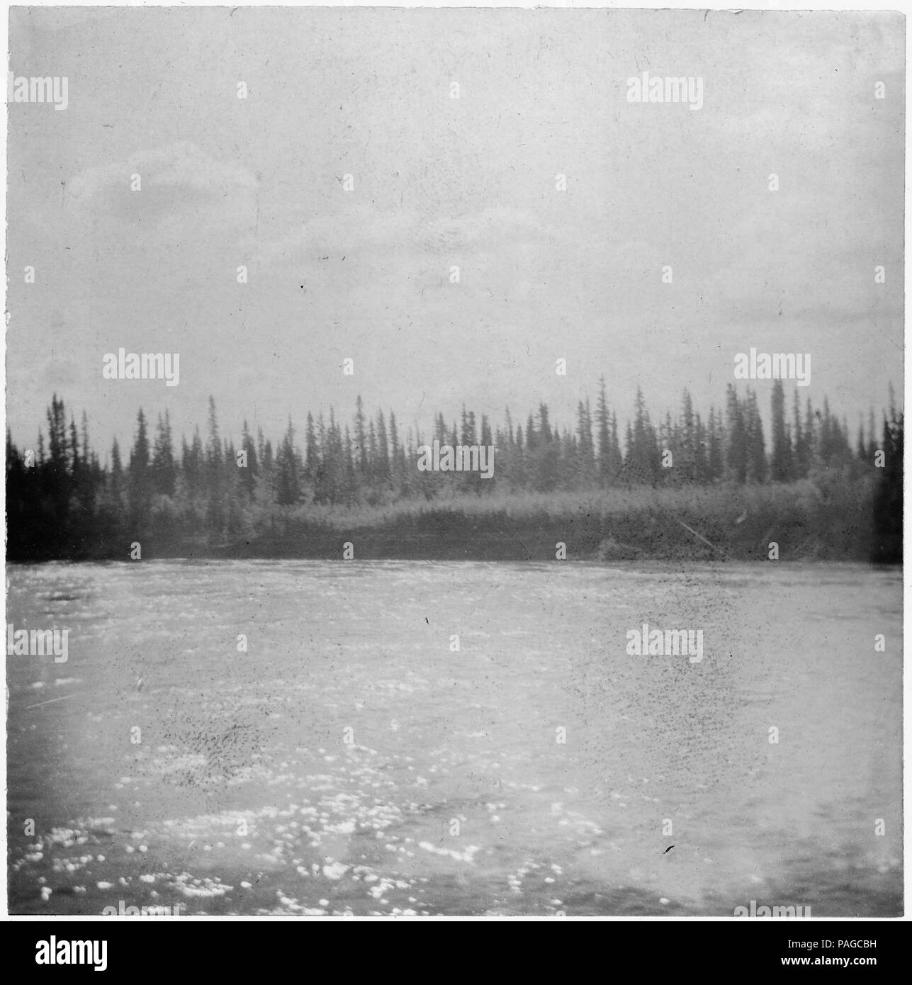 River and forest Black and White Stock Photos & Images - Alamy