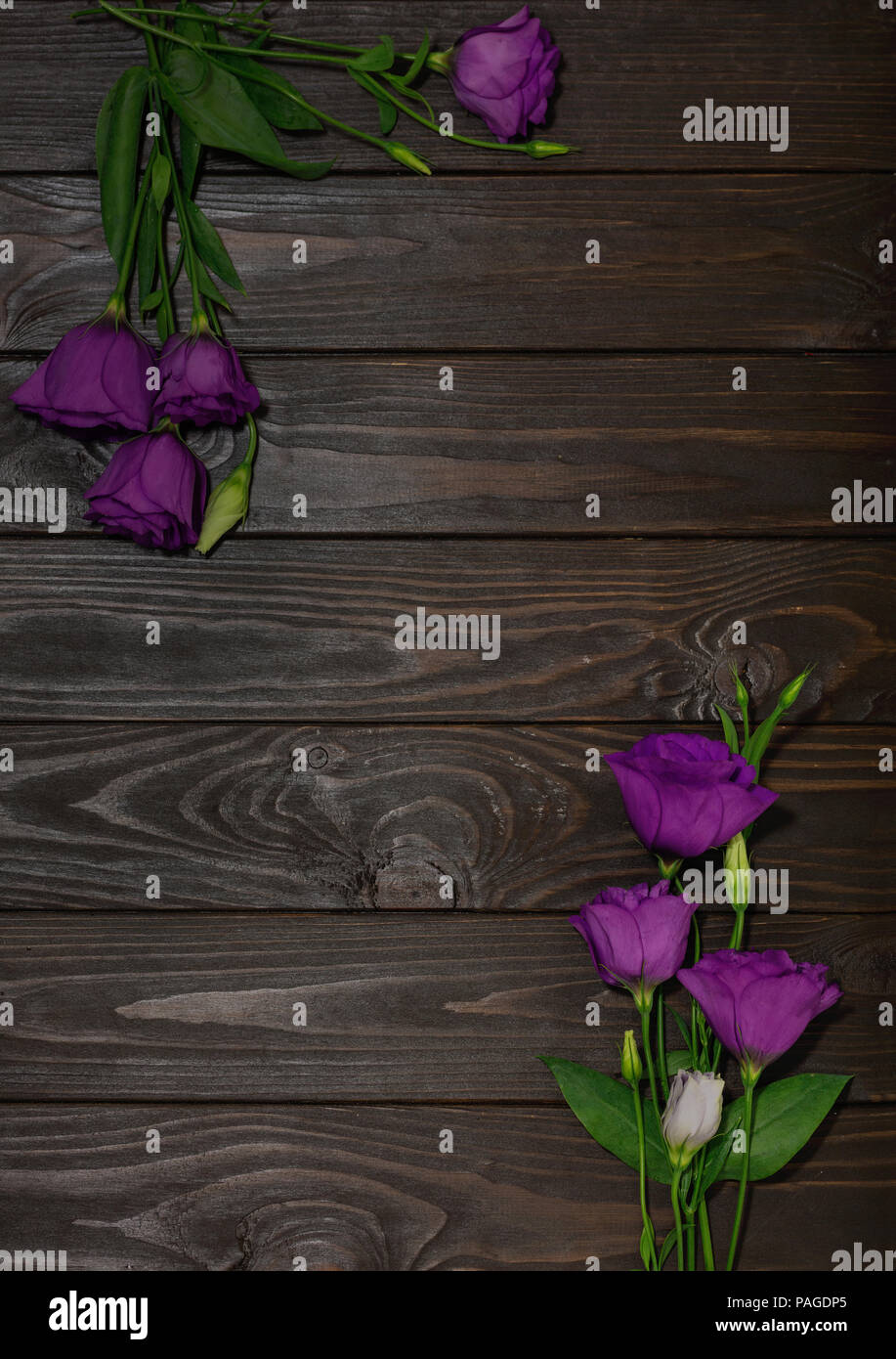 Violet flowers - eustoma, on a brown wooden background. Copy space. Stock Photo