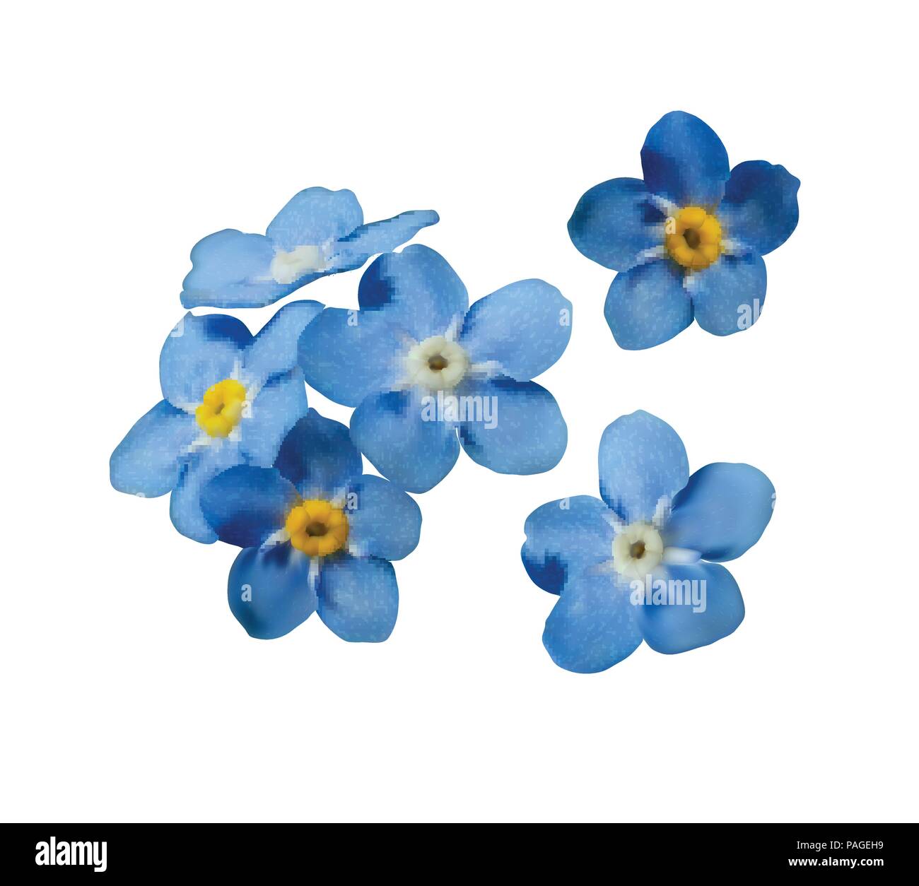 Blue forget me not spring flowers. Decorative elements vector set Stock ...