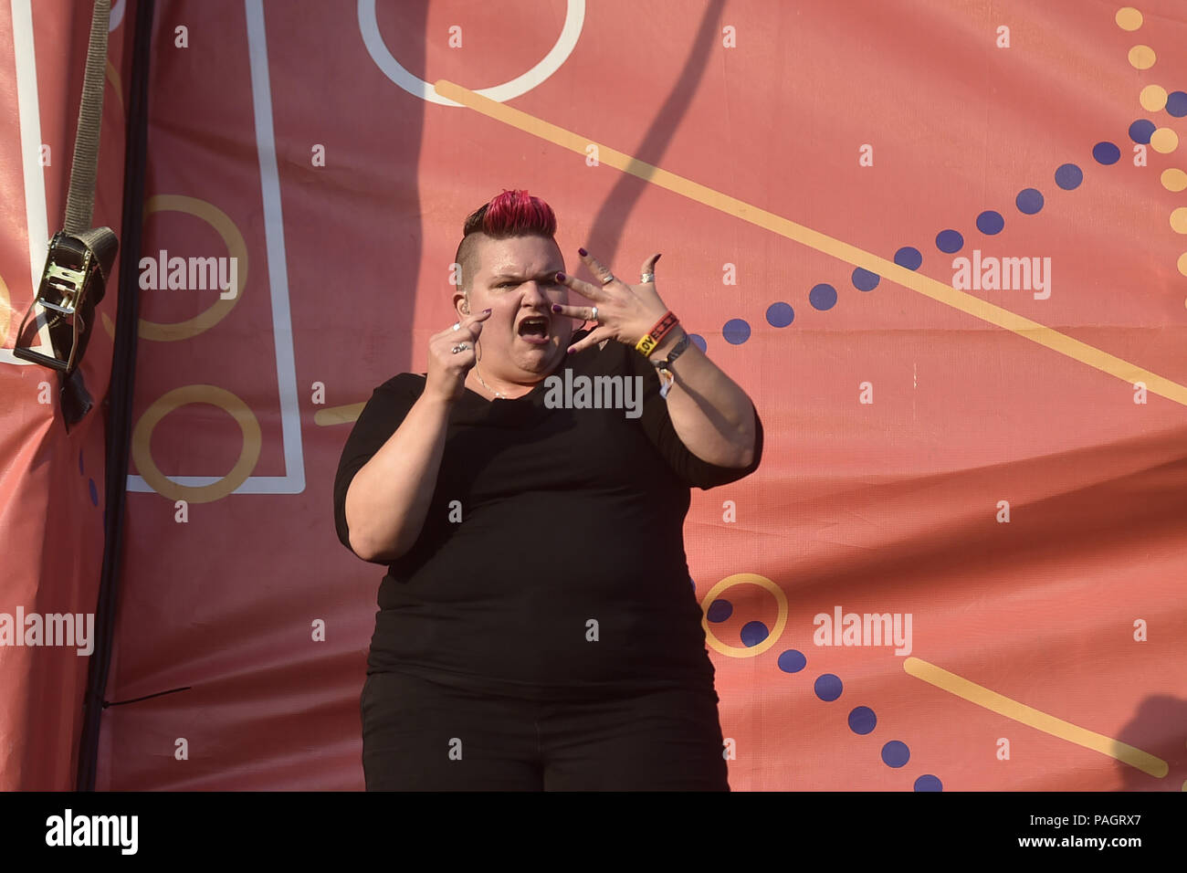 Sign language interpreter concert hires stock photography and images Alamy