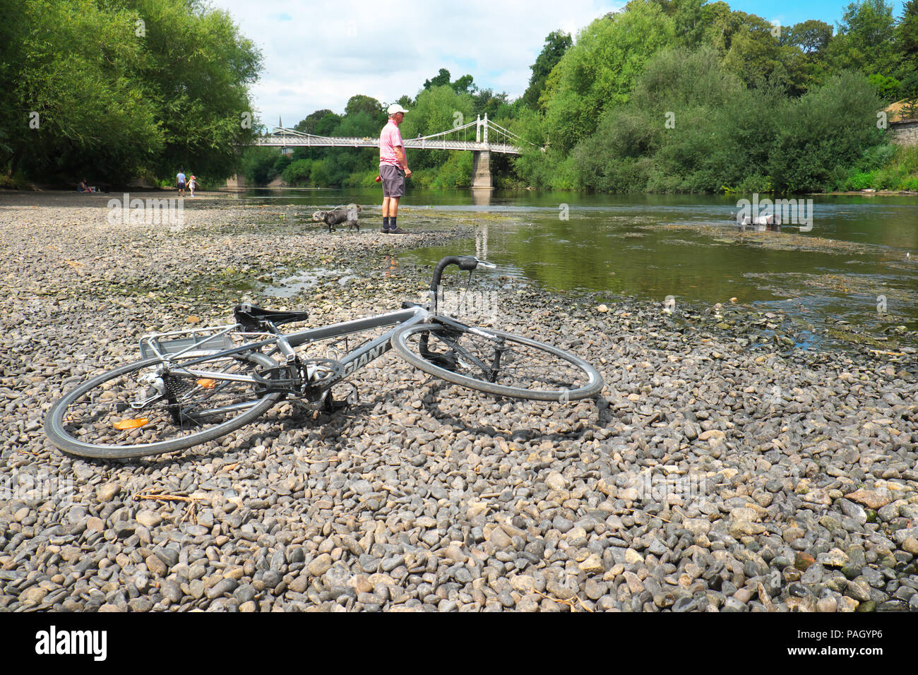 River Wye, Hereford, Herefordshire, UK - UK Weather - Monday 23rd July 2018 - Man walks his dogs whilst others cycled along an exposed shoreline of the River Wye as it passes under the pedestrian Victoria Bridge in Hereford. The Environment Agency recorded todays river level on the Wye in Hereford as just 9cm which is well below the typical summer range. Photo Steven May / Alamy Live News Stock Photo