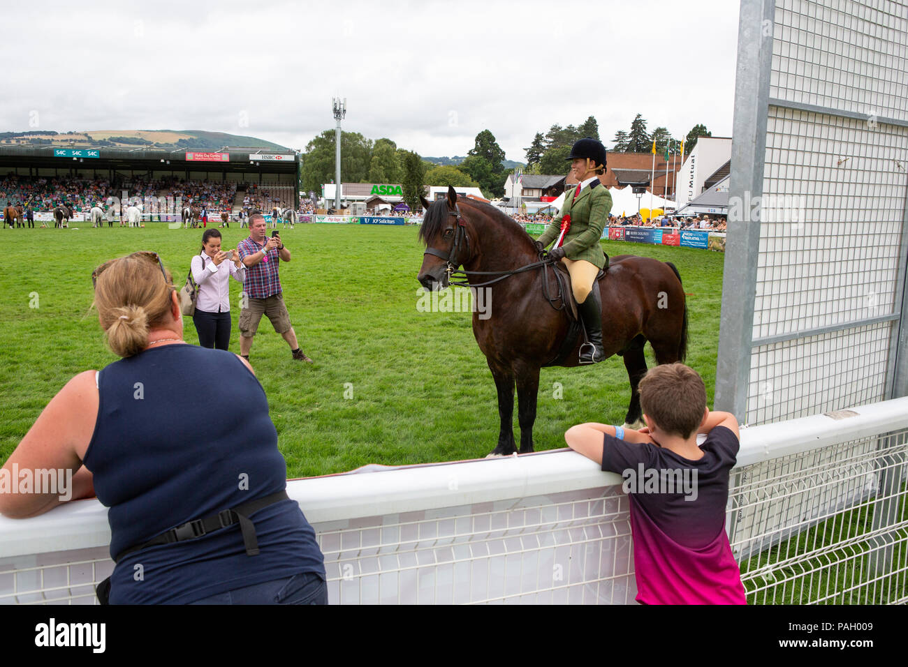 The winner of an event in the main ring poses for photographs at the Royal Welsh Show. Stock Photo