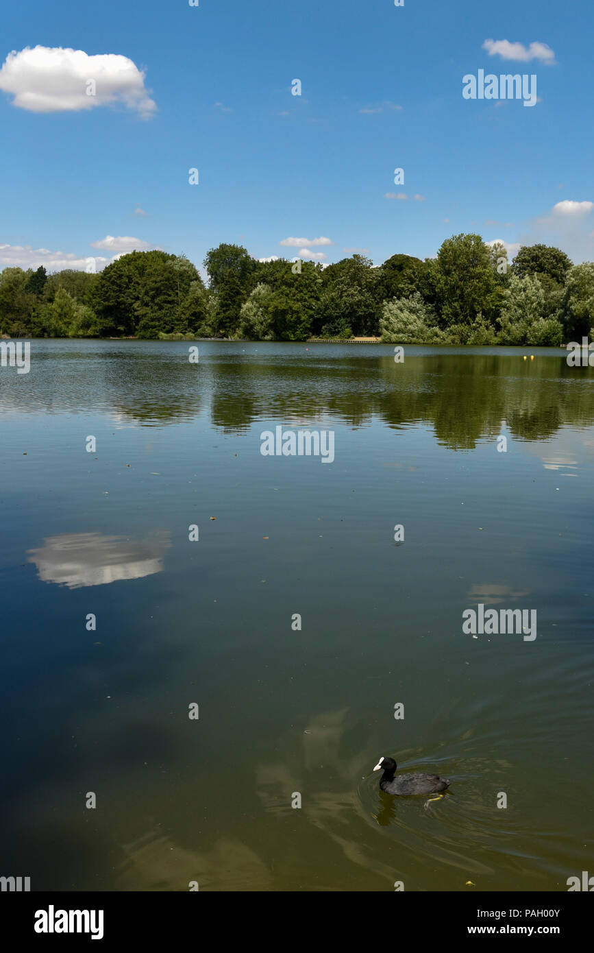 London, UK.  23 June 2018.  Reflections at Bury Lake during hot weather at Rickmansworth Aquadrome in north west London, on a day when temperatures reached 30C.  Temperatures up to 35C are forecast for the rest of the week during the current heatwave. Credit: Stephen Chung / Alamy Live News Stock Photo