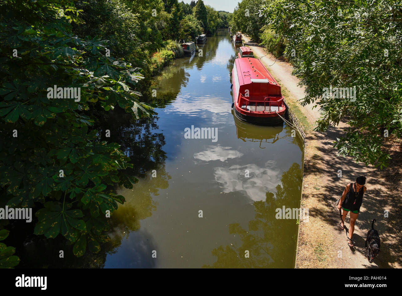 London, UK.  23 June 2018. A woman walks her dog by the canal near Rickmansworth Aquadrome in north west London, on a day when temperatures reached 30C.  Temperatures up to 35C are forecast for the rest of the week during the current heatwave. Credit: Stephen Chung / Alamy Live News Stock Photo