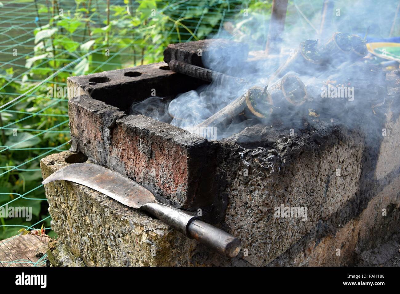 Tambo Tambo Sticky Rice The bamboo sticky rice is culinary specialty on the rice paddy fields ...