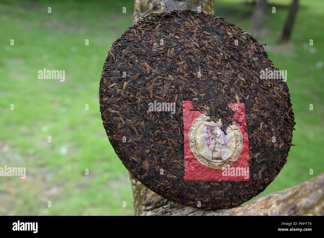The Ripe Pu Erh Tea Cake With A Label Prize Winning Tea The Traditional Chinese Black Tea From Yunnan Province In The Natural Background Stock Photo Alamy