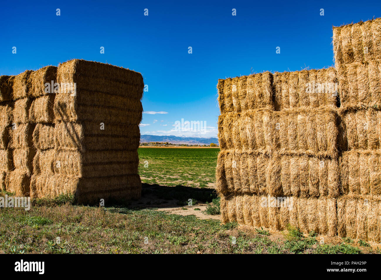 Haystacks in Colorado Stock Photo