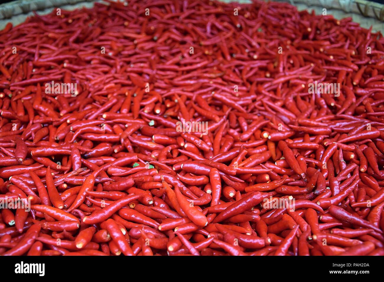 Red chili peppers drying on the wicker basket Stock Photo - Alamy