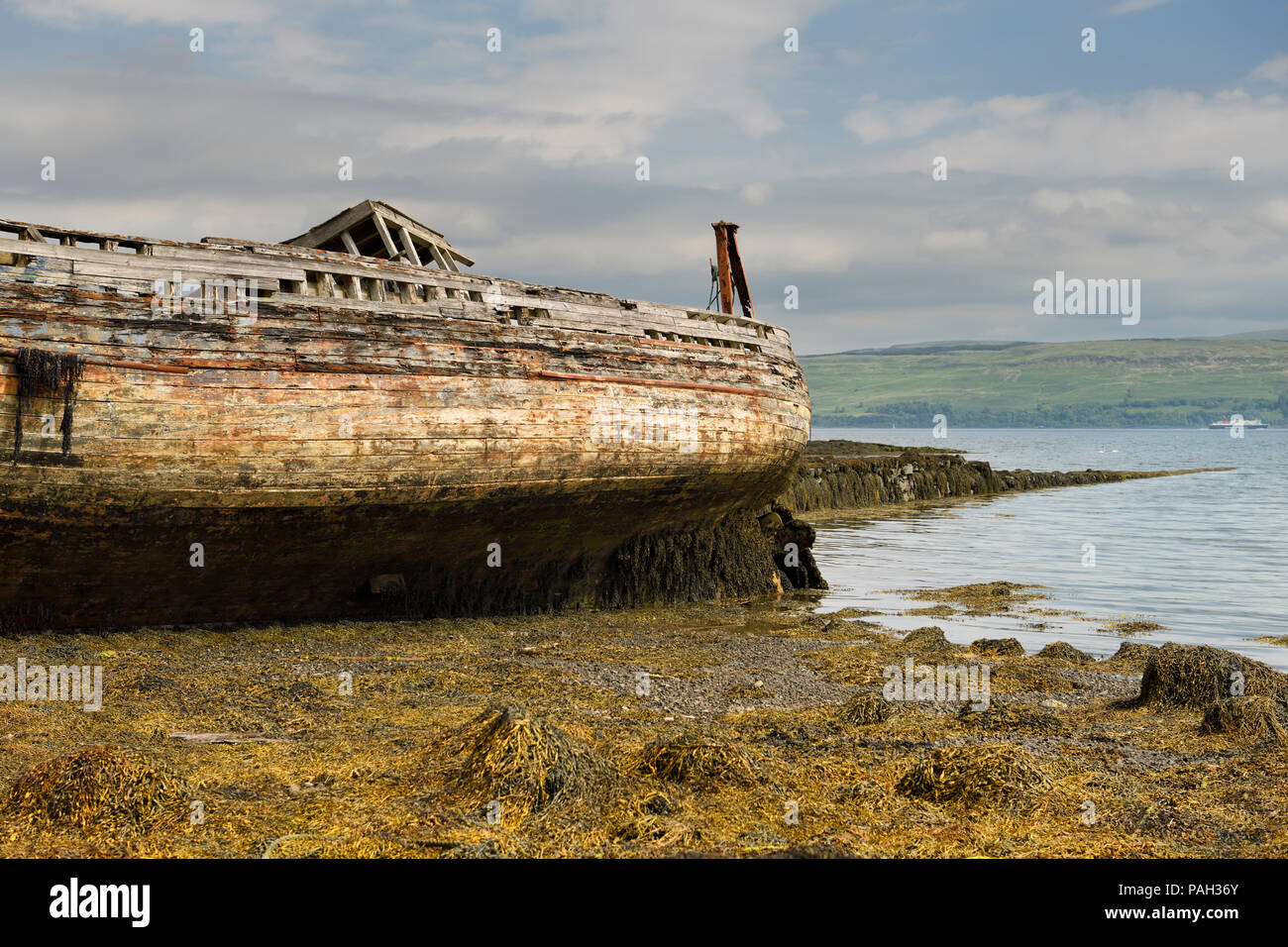 Shipwreck on Salen beach with seaweed at low tide on Sound of Mull Isle of Mull Scotland UK Stock Photo