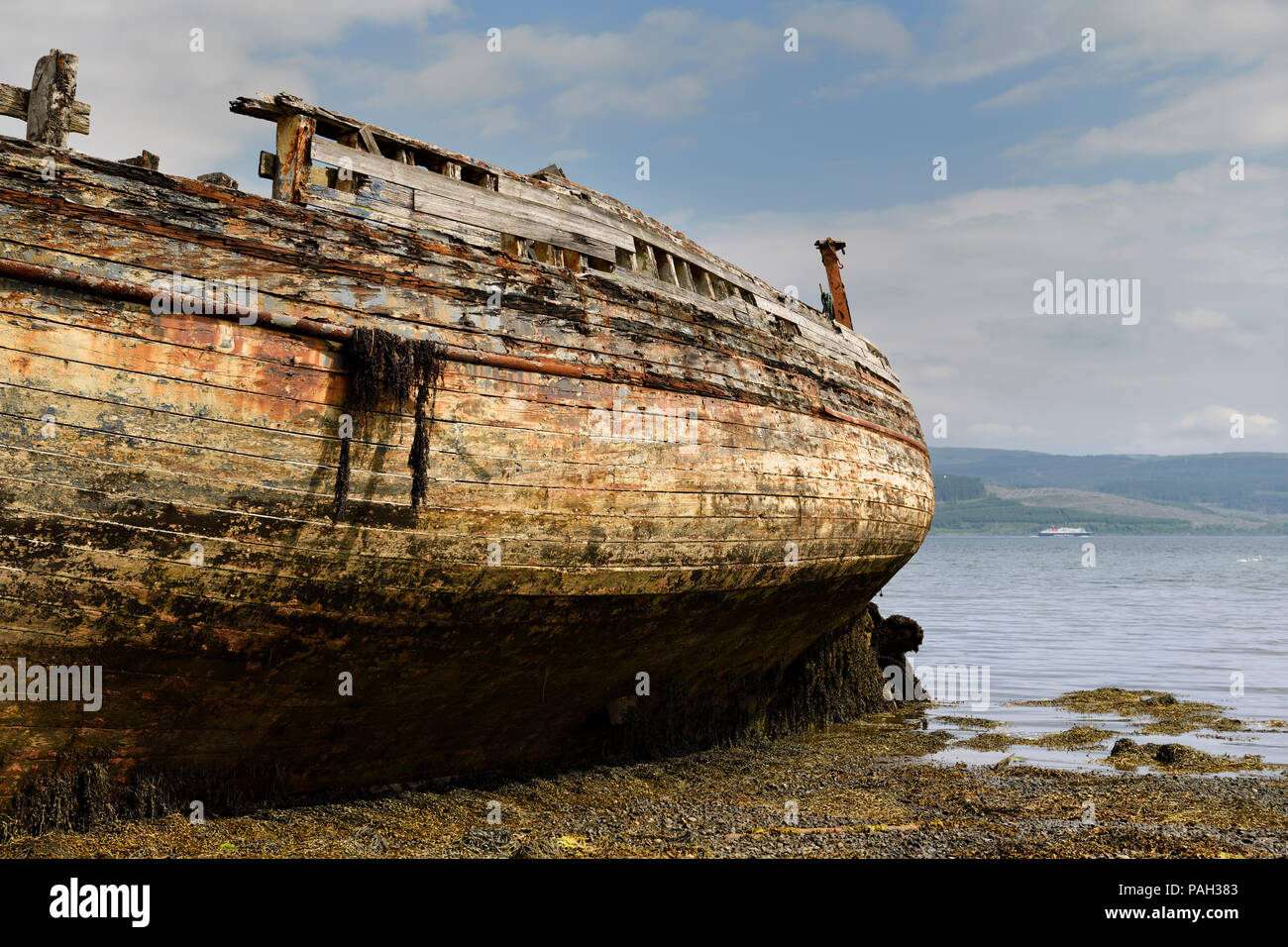 Rotting wood of shipwreck on Salen Bay with seaweed at low tide on Isle of Mull Inner Hebrides Scotland UK Stock Photo