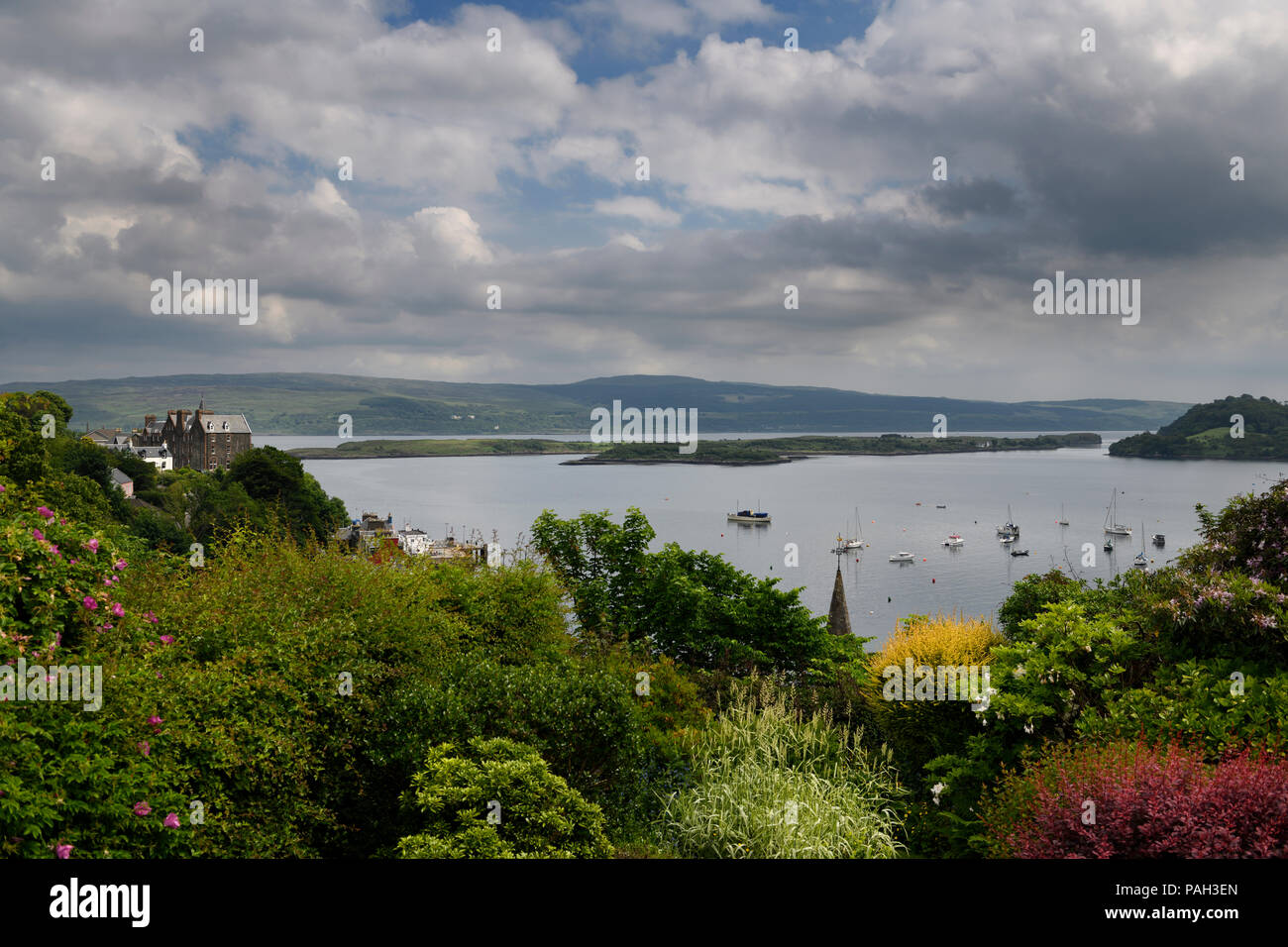 Hilltop garden view of Tobermory harbour Isle of Mull with Calve Island in the Sound of Mull Scotland UK Stock Photo