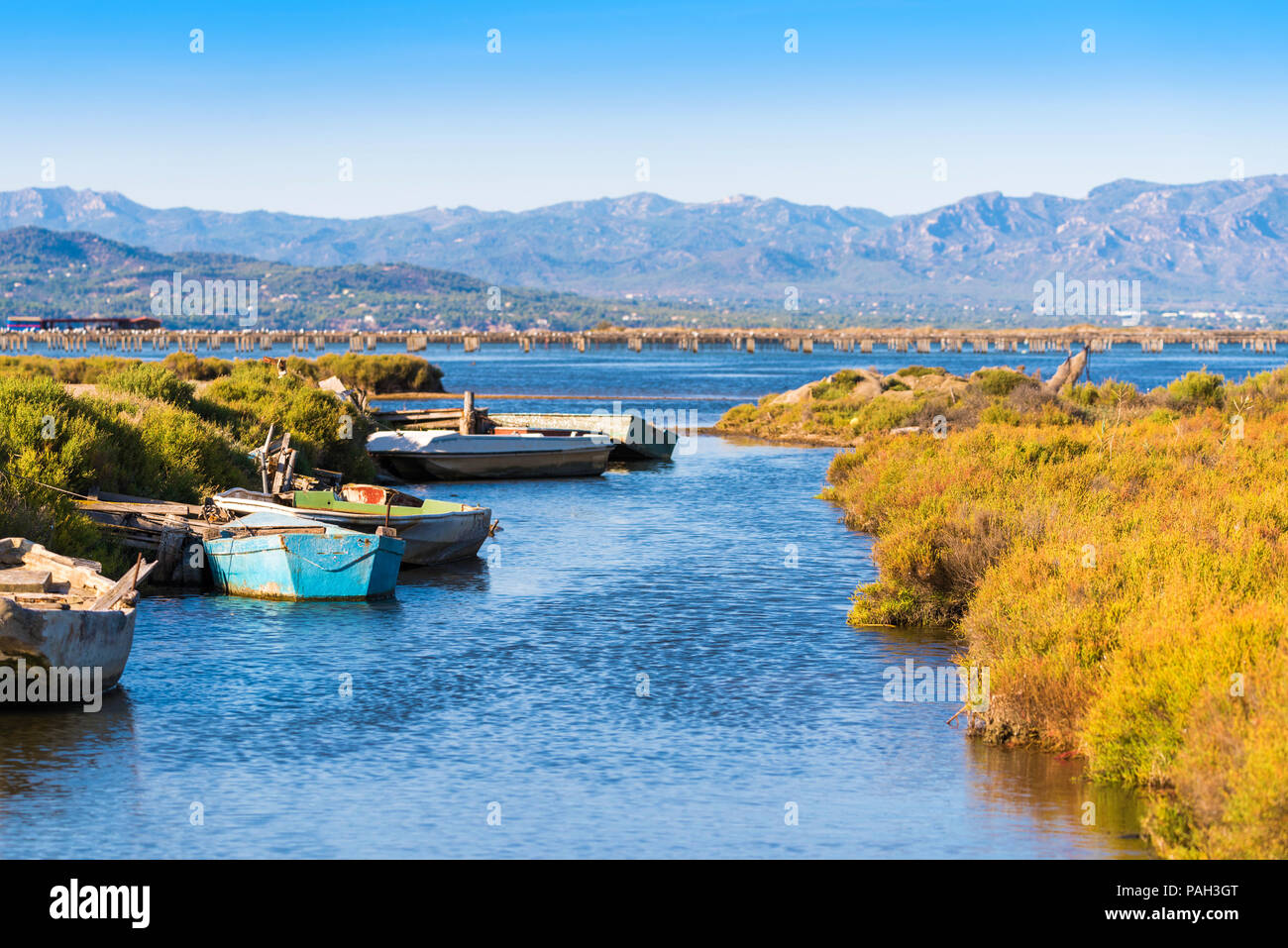 Ebro Delta estuary and wetlands, Tarragona, Catalunya, Spain. Copy space for text Stock Photo