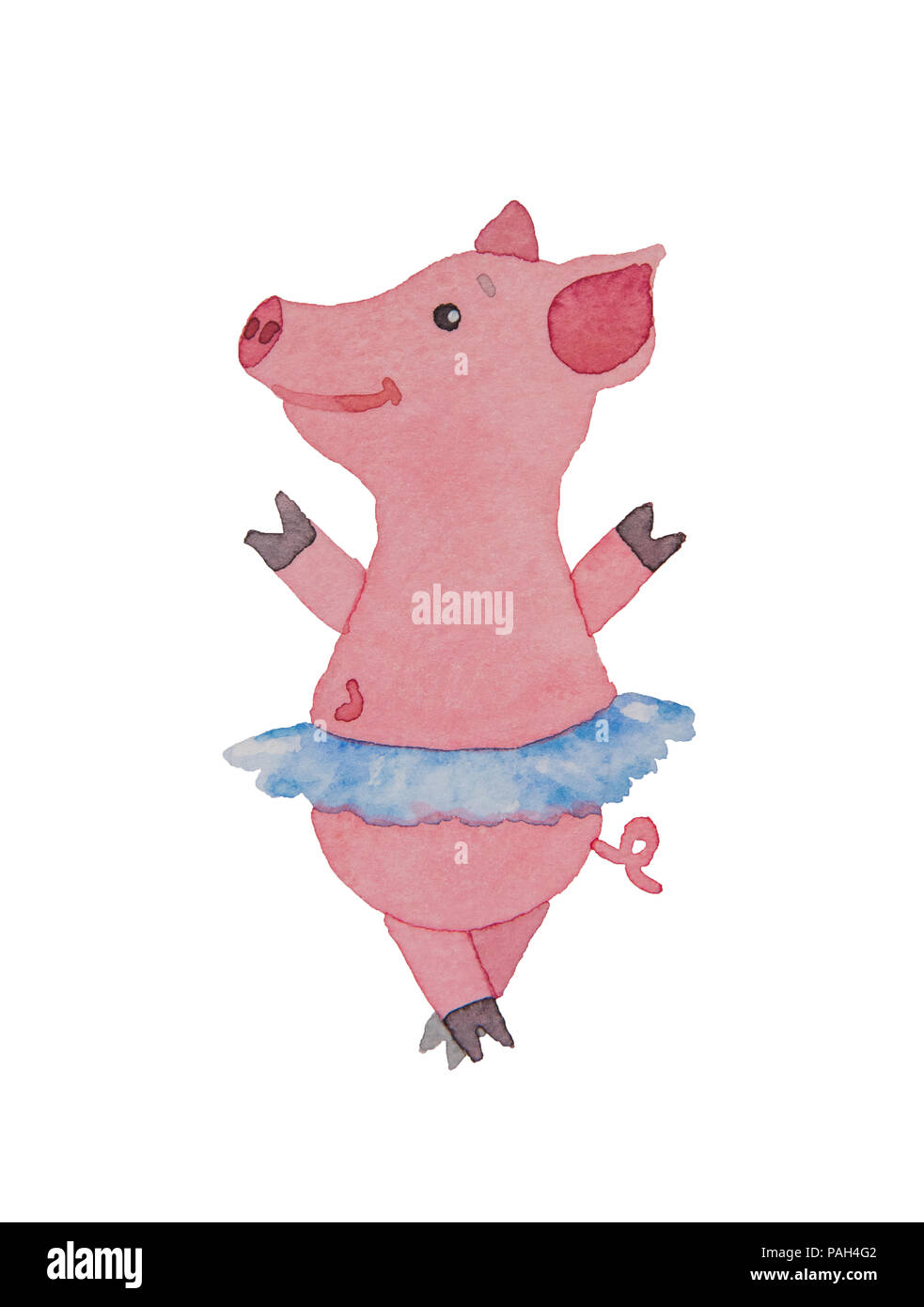 Beautiful pink pig or piggy ballerina dancing in a skirt with a tutu and  pointes drawing a watercolor on a white background Stock Photo - Alamy