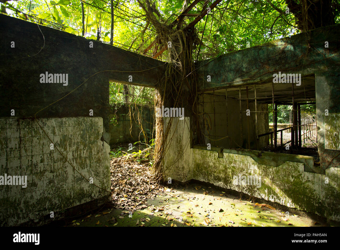 Outdoor prison on Gorgona Island, Colombia Stock Photo