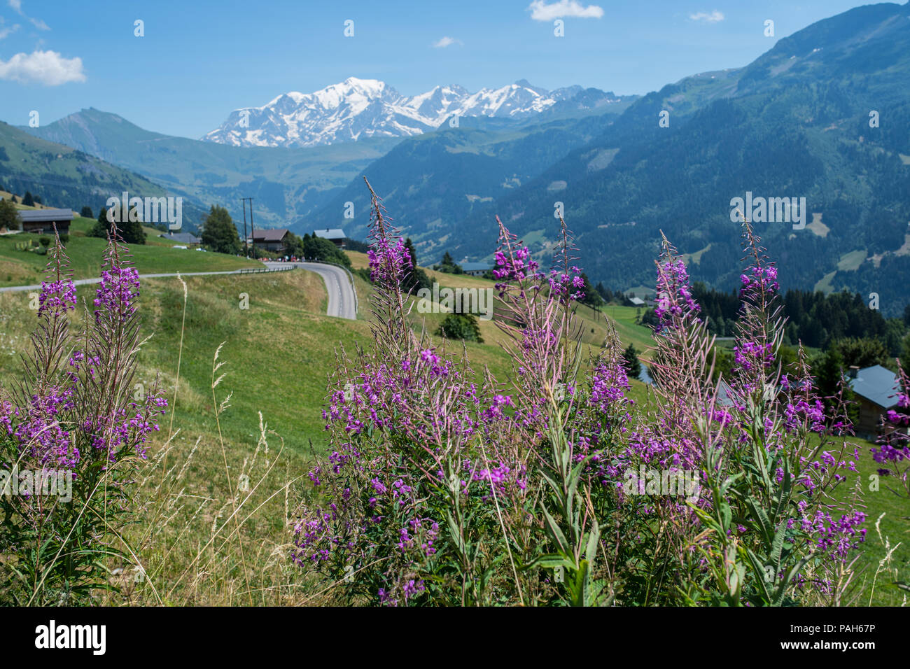 Landscape in the french alps near Alberville. Stock Photo