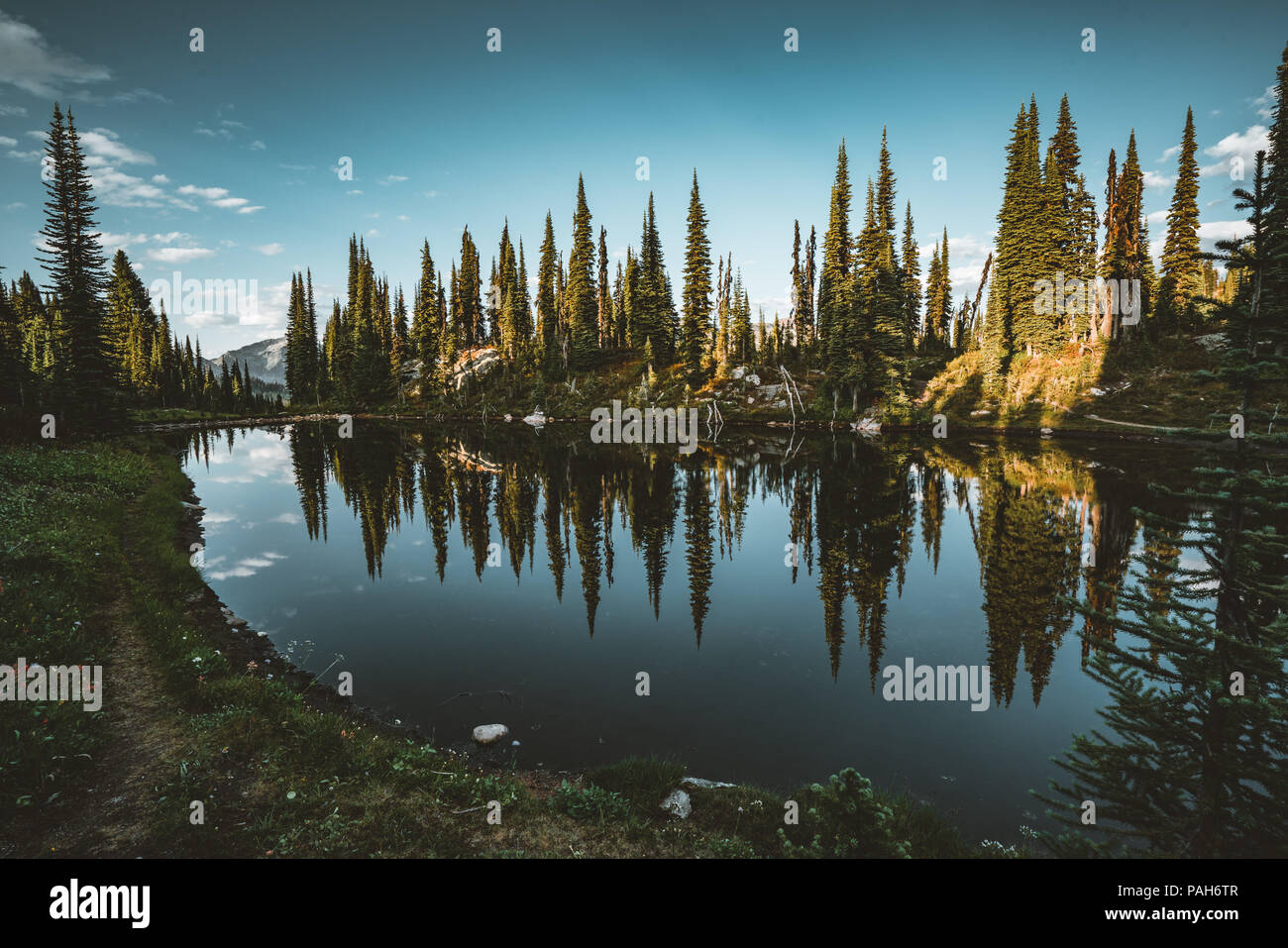 View from Lake on the summit of Mount Revelstoke across forest with blue sky and clouds. British Columbia Canada. Stock Photo