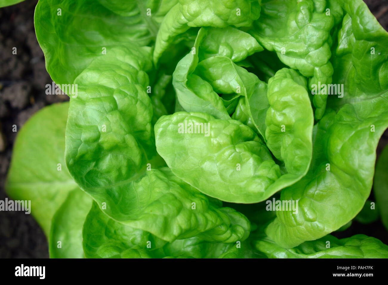 Valdor hires stock photography and images Alamy