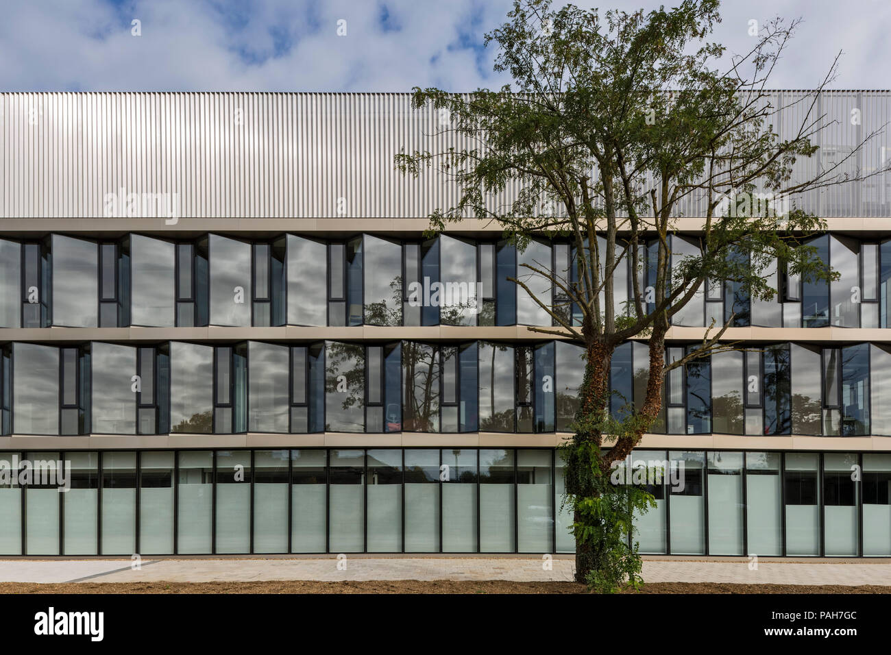 Saw-tooth facade and metal screen. Wilfred Brown Building at Brunel University, Uxbridge, United Kingdom. Architect: Sheppard Robson, 2017. Stock Photo