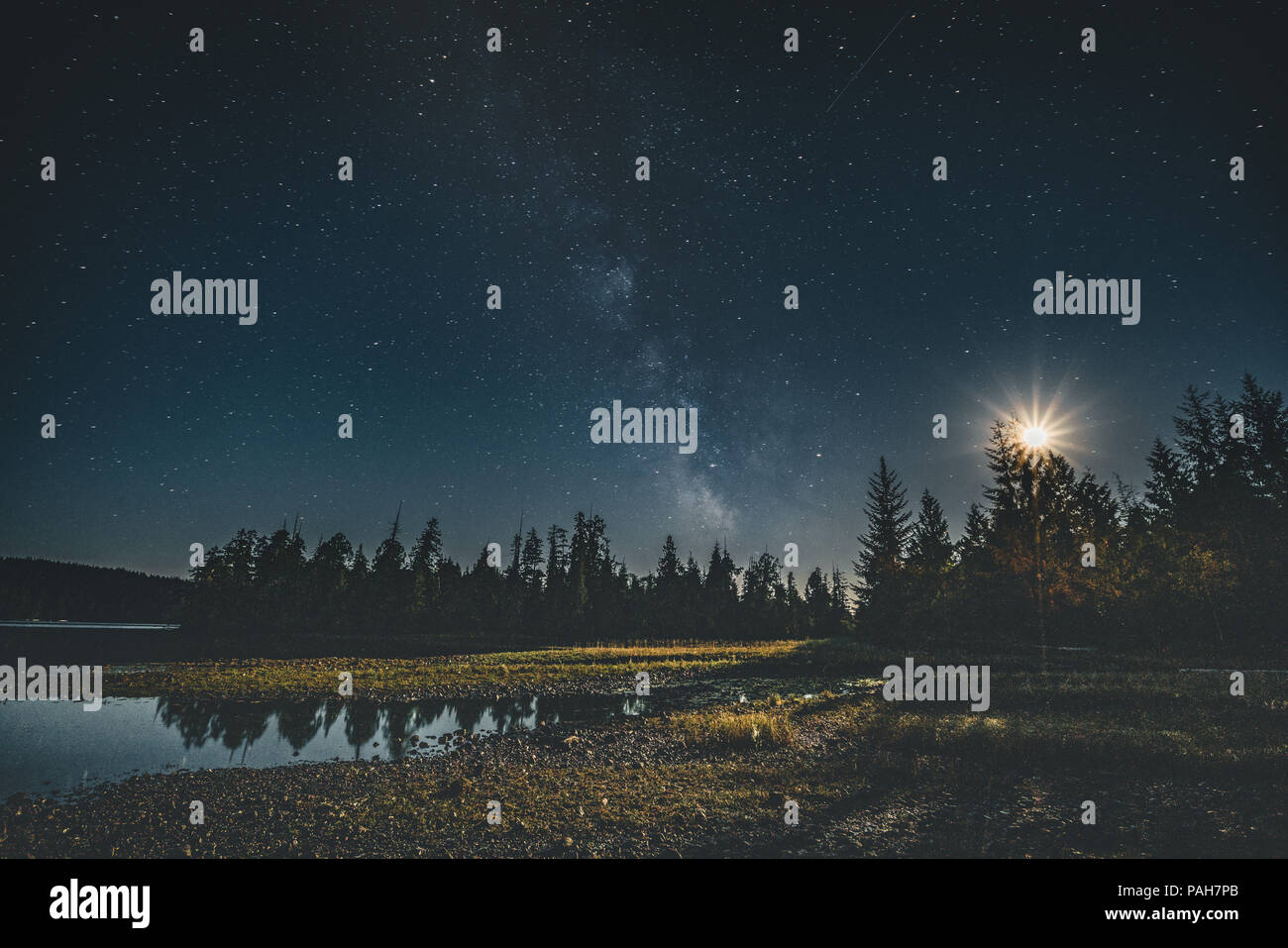 Milky Way Galaxy Night Sky Over Forest With Moon And Reflection
