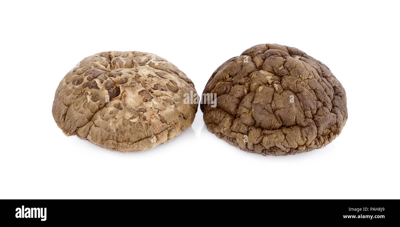dried shiitake mushrooms, chinese mushrooms on white background Stock