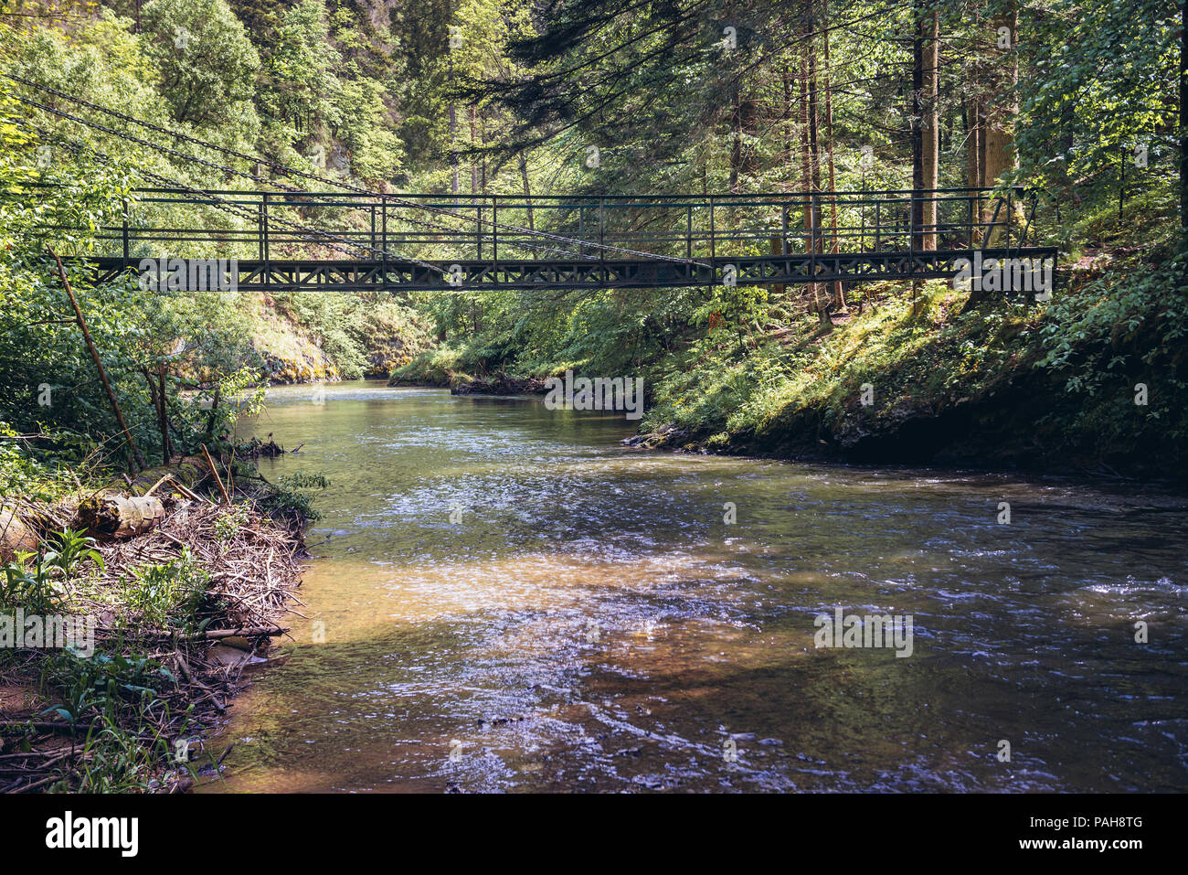 One of the bridges over Hornad River canyon, part of hiking trail called Prielom Hornadu in Slovak Paradise National Park, Slovak Ore Mountains Stock Photo